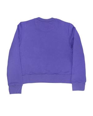 FELPA N21 N21574 PURPLE-1-mini
