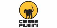 CIESSE PIUMINI